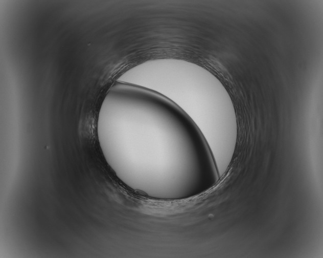 X0000086940045200704161044