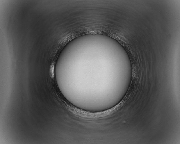 X0000086940047200704161044
