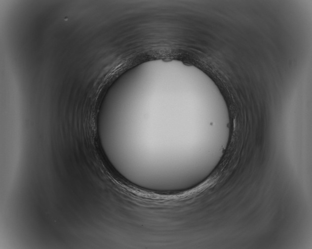 X0000086940048200704161044