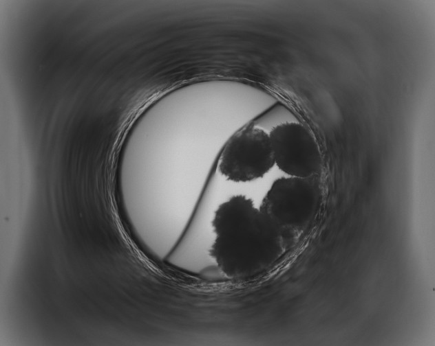 X0000086940049200704161044