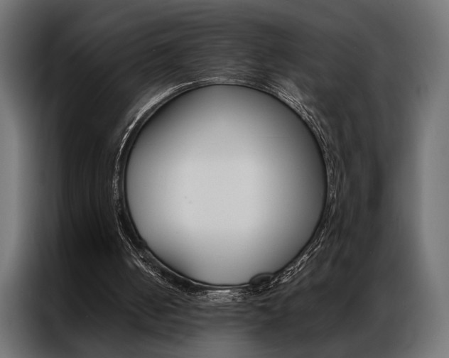 X0000086940050200704161044
