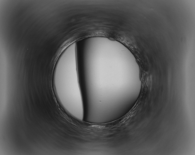 X0000086940051200704161044