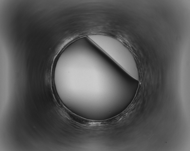 X0000086940052200704161044