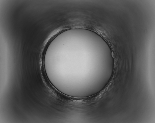 X0000086940054200704161044
