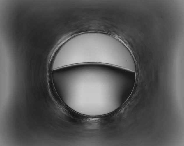 X0000086940055200704161044
