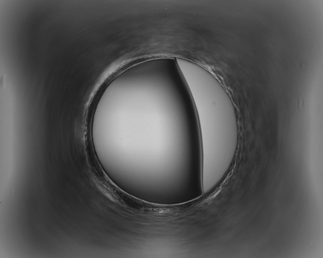 X0000086940056200704161044
