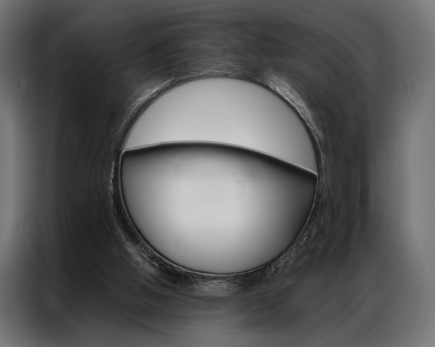 X0000086940058200704161044
