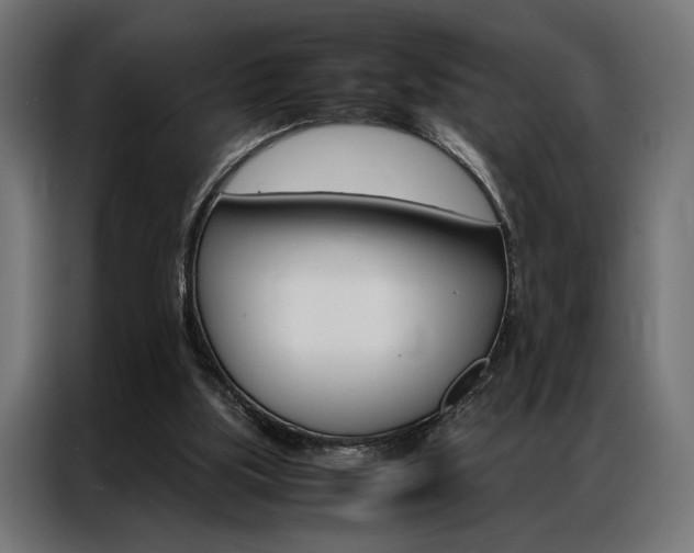 X0000086940059200704161044