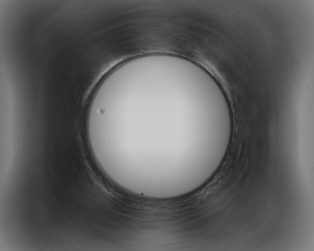 X0000086940060200704161044