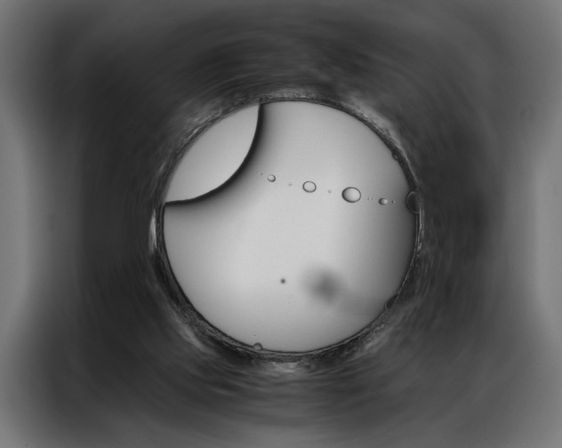 X0000086940061200704161044