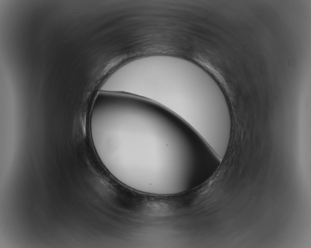 X0000086940062200704161044