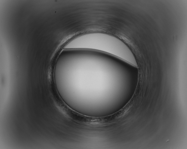 X0000086940064200704161044
