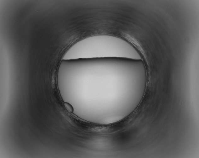 X0000086940065200704161044