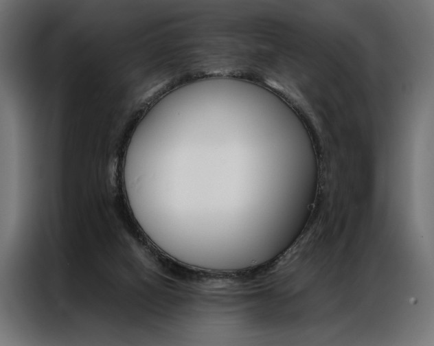 X0000086940066200704161044