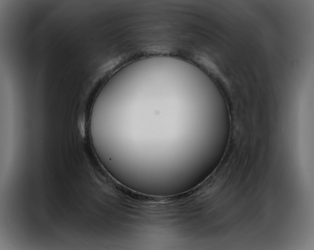 X0000086940068200704161044