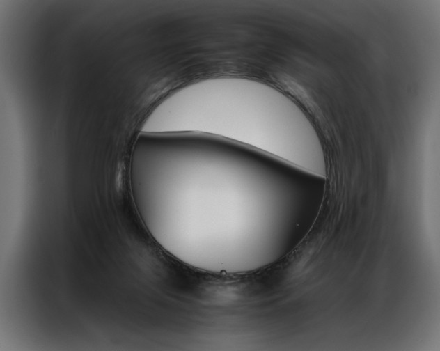 X0000086940071200704161044