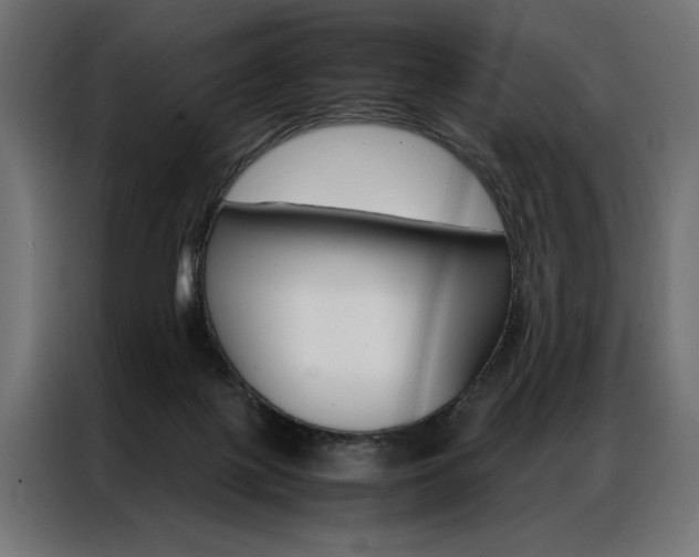 X0000086940075200704161044