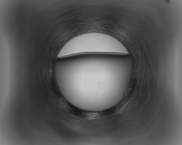 X0000086940085200704161044