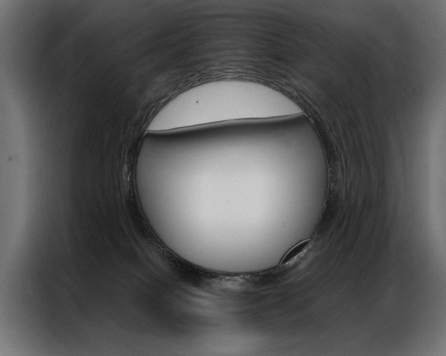 X0000086940086200704161044