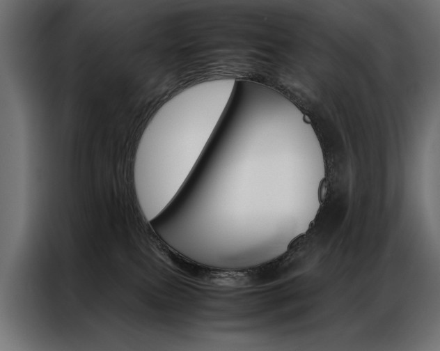 X0000086940087200704161044