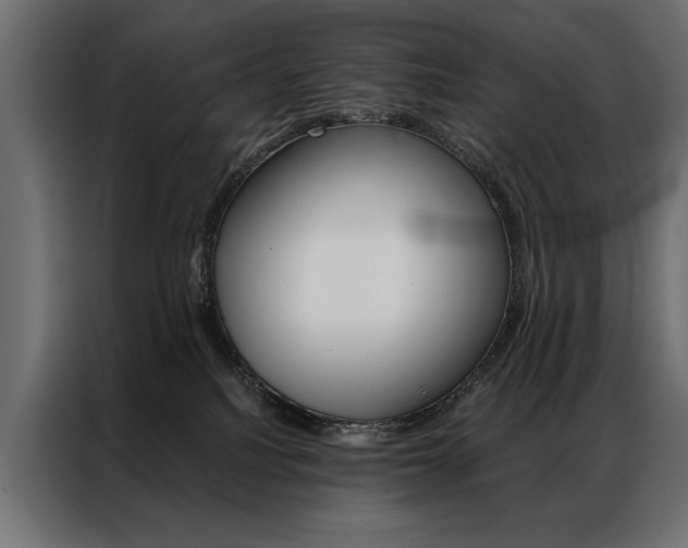 X0000086940088200704161044