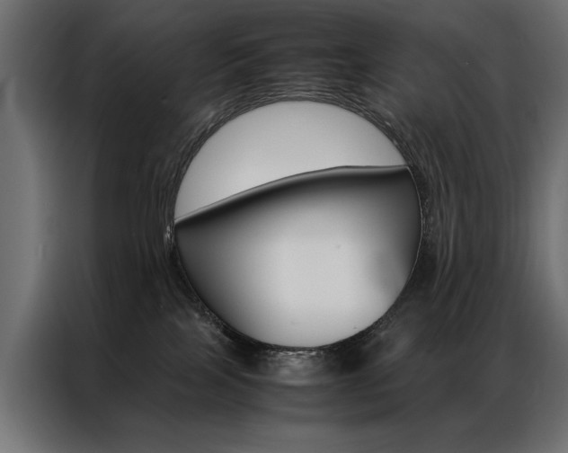 X0000086940089200704161044