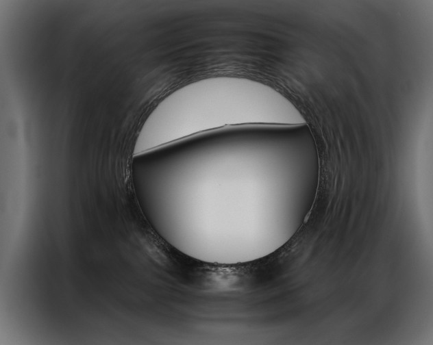 X0000086940091200704161044