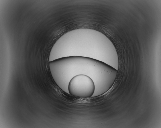 X0000086940094200704161044