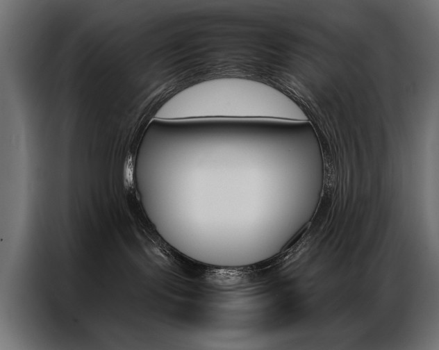 X0000086940095200704161044
