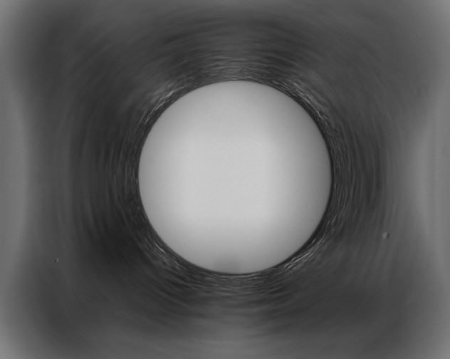 X0000086940096200704161044