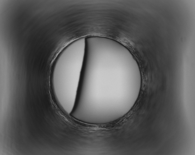 X0000086940098200704161044