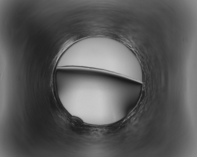 X0000086940099200704161044