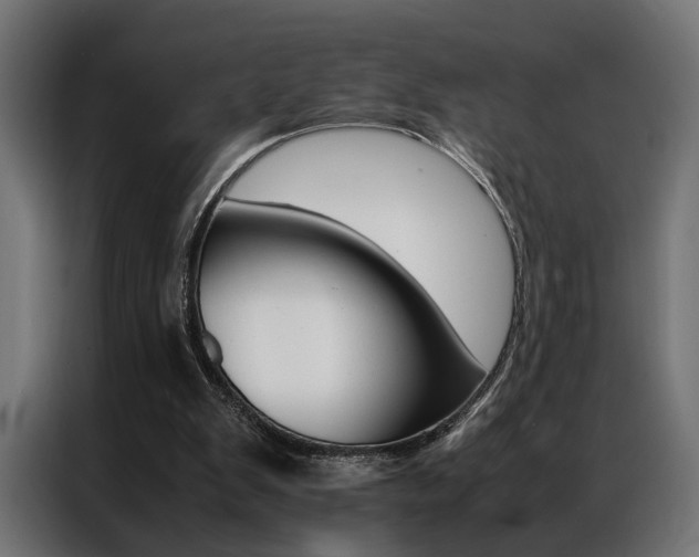 X0000086940103200704161044