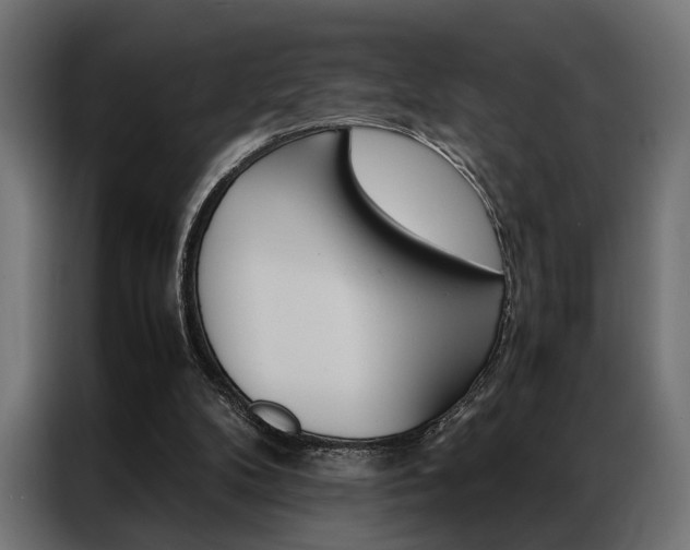 X0000086940104200704161044
