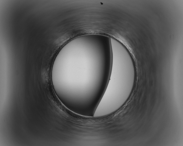 X0000086940105200704161044