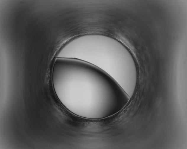 X0000086940107200704161044