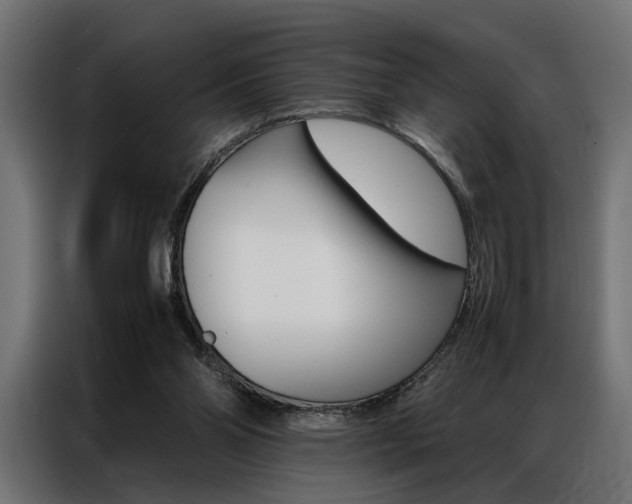 X0000086940110200704161044