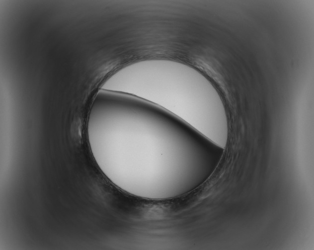 X0000086940115200704161043