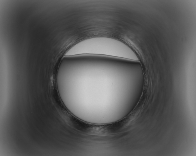 X0000086940117200704161043