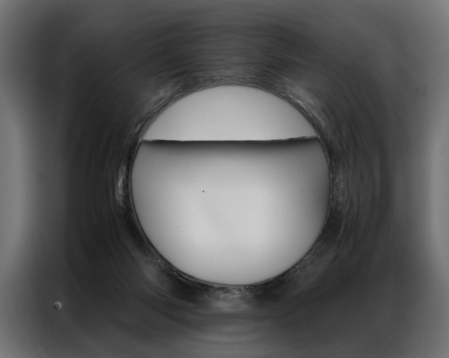 X0000086940118200704161043