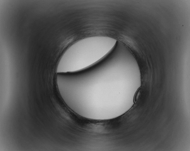 X0000086940120200704161043