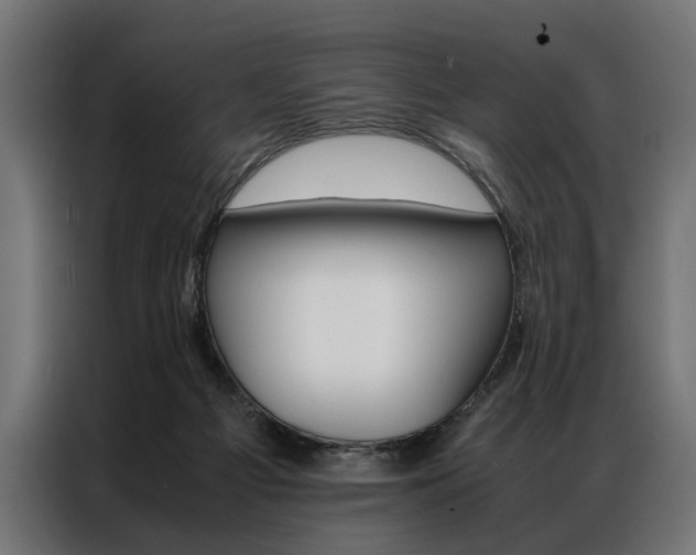 X0000086940121200704161043