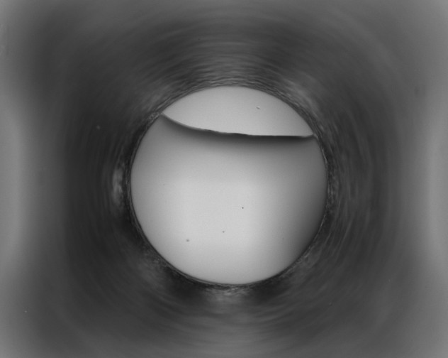 X0000086940122200704161043