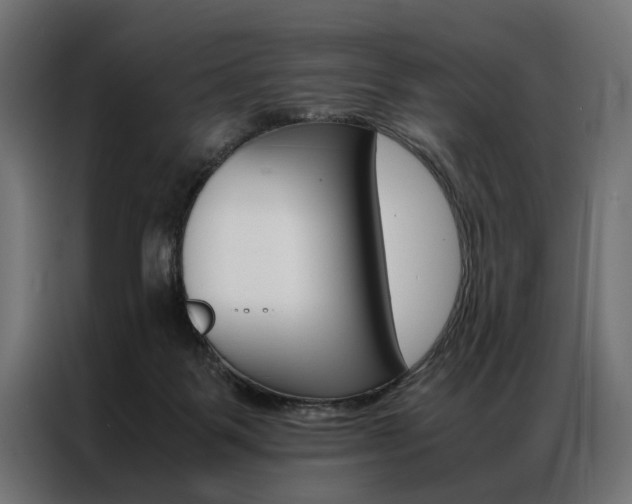 X0000086940123200704161043