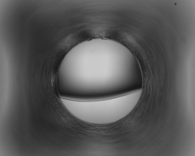 X0000086940125200704161043