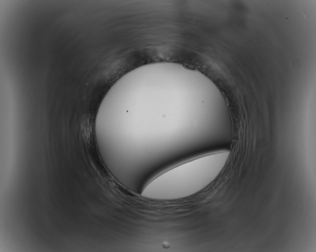 X0000086940129200704161043