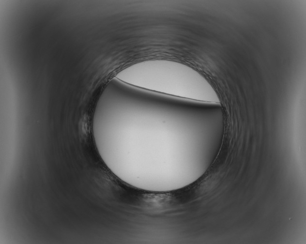 X0000086940135200704161043