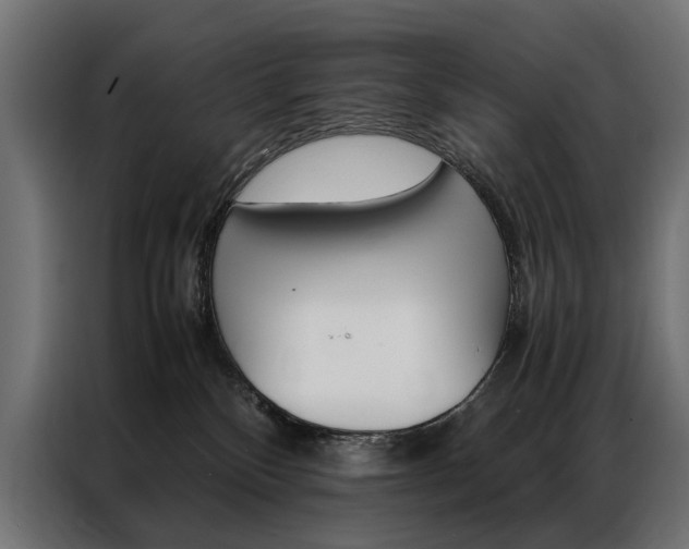 X0000086940136200704161043