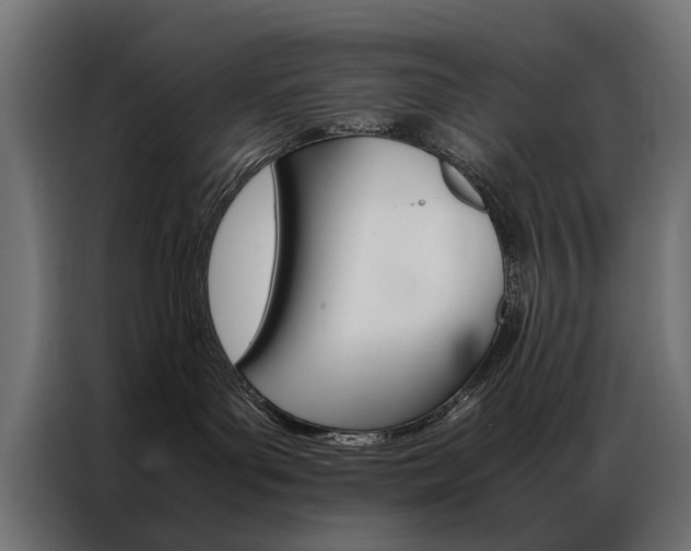 X0000086940143200704161043