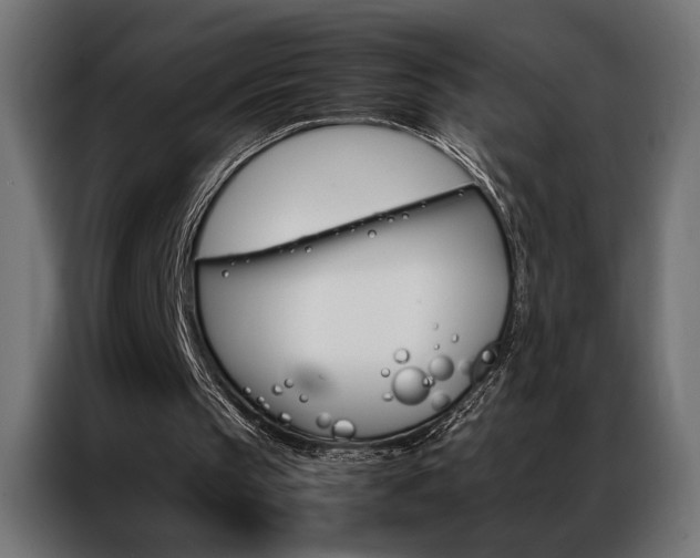 X0000086940145200704161042
